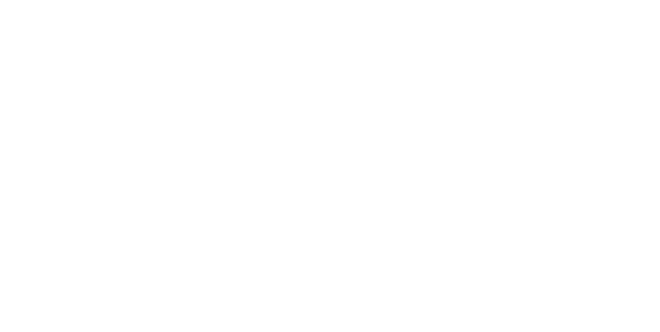 REGOLATORIO
