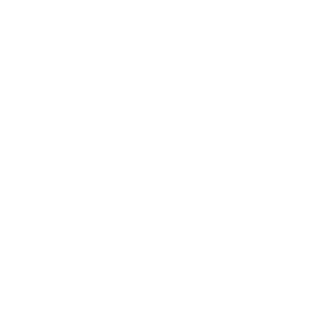 Digital plus